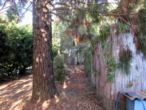 Jardín